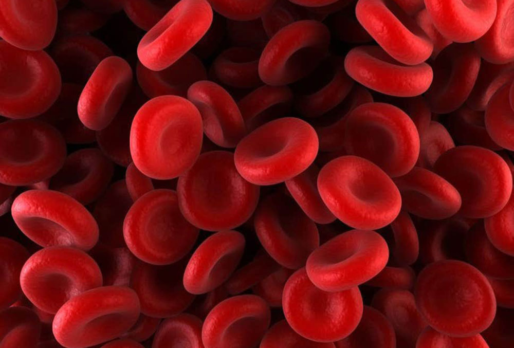 blood-clip.png