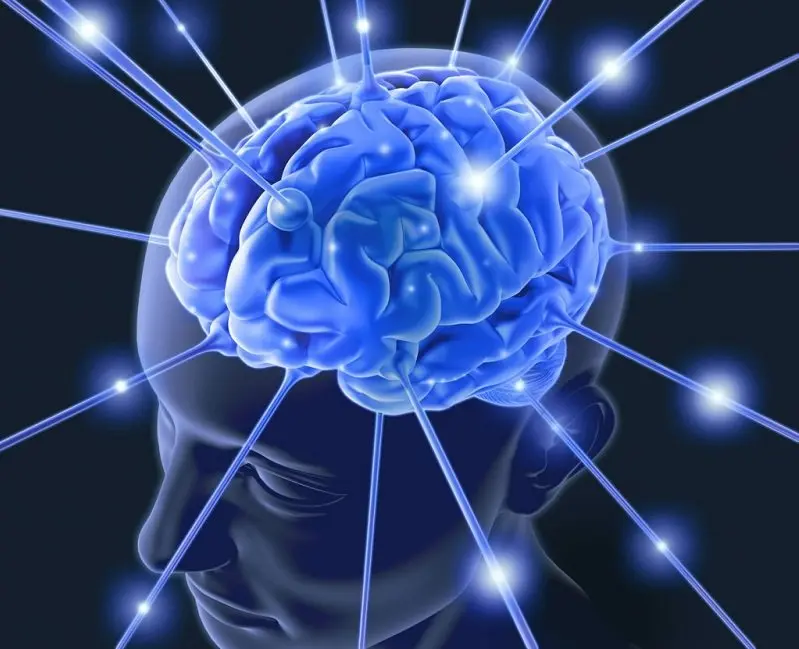 brain-clip.png