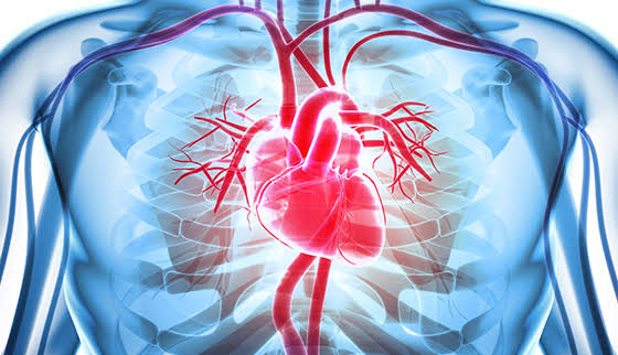 heart-clip.png