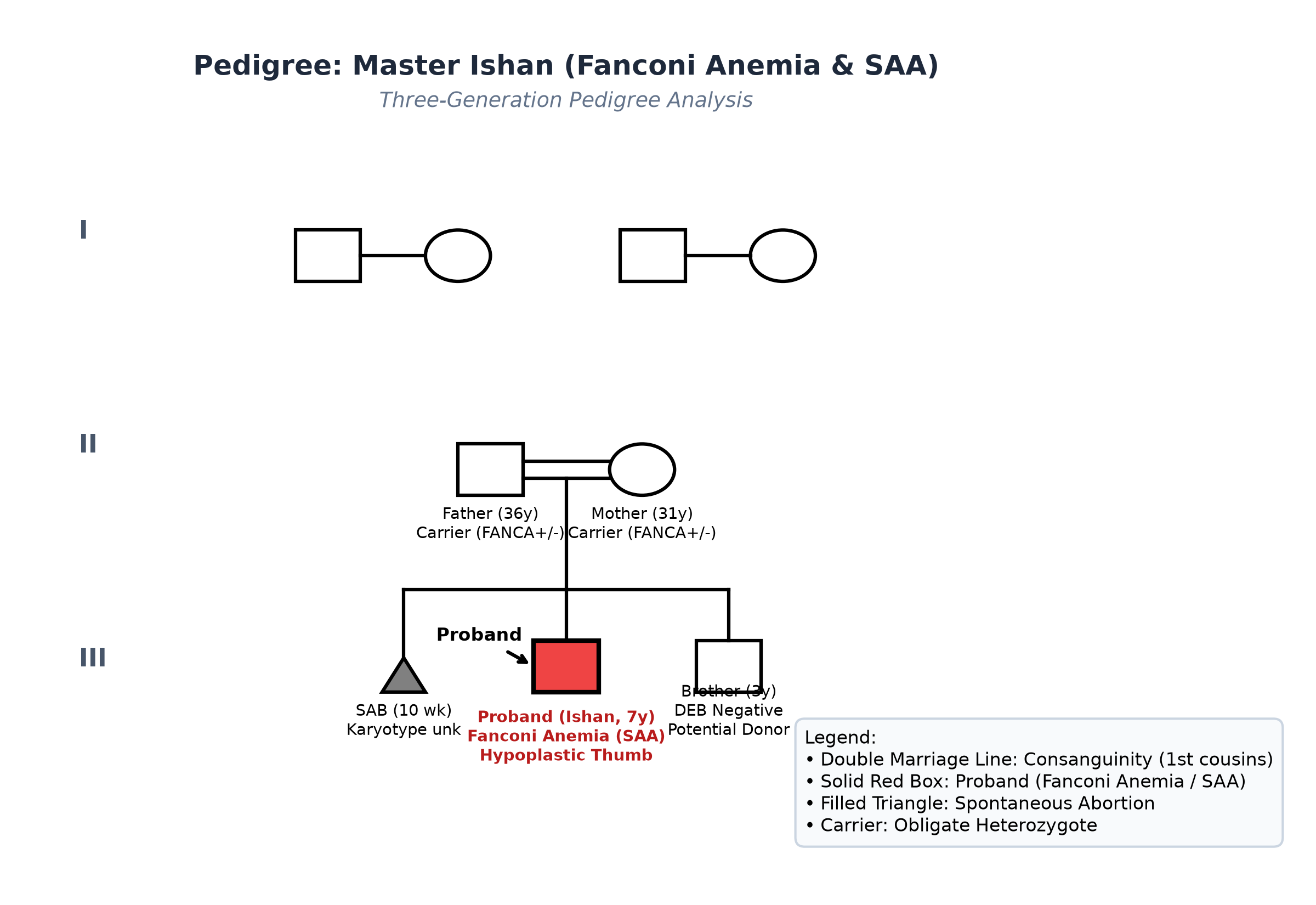pedigree_fanconi_ishan.png